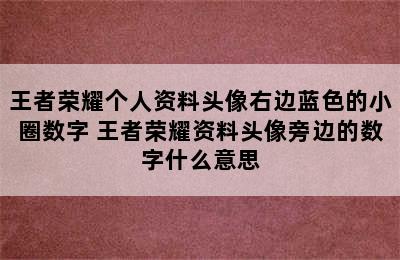 王者荣耀个人资料头像右边蓝色的小圈数字 王者荣耀资料头像旁边的数字什么意思